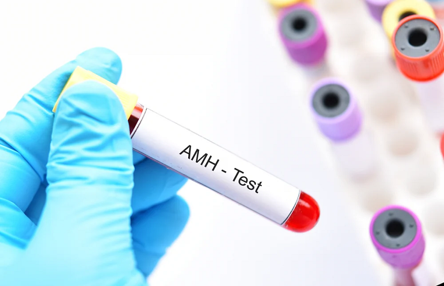 AMH Blood Test: What is it and why is it important?