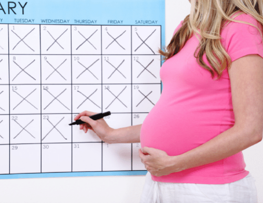 A Comprehensive Guide to Pregnancy Calculator