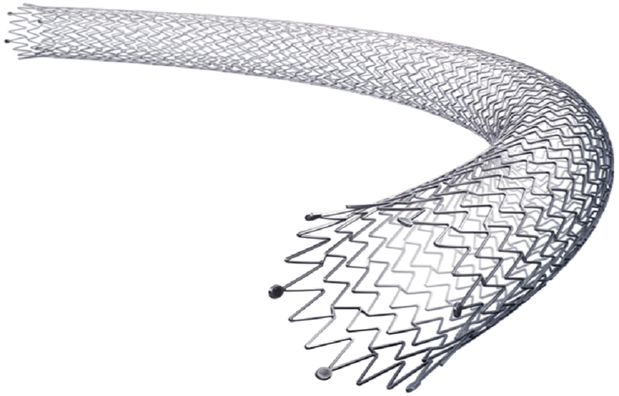 endovascular device supplier